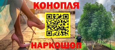 гашиш Можга