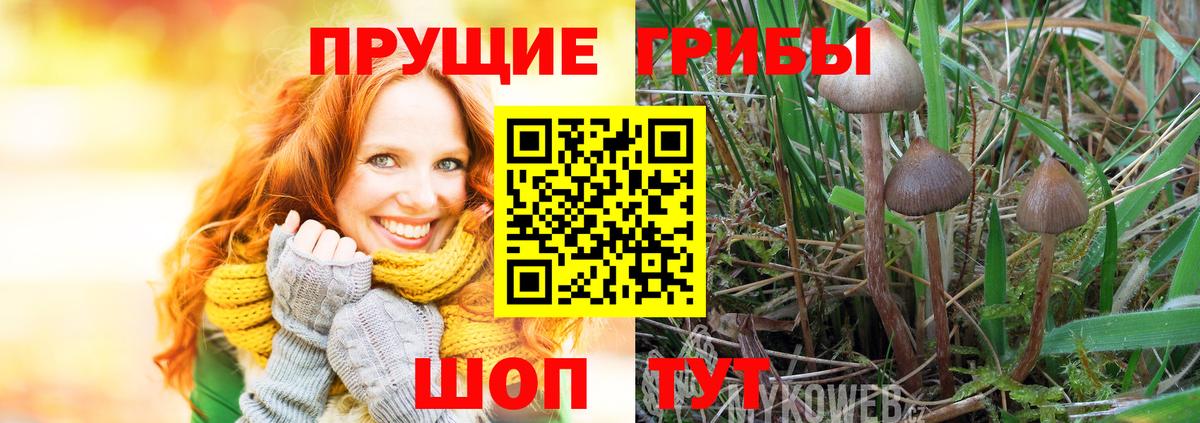 Галлюциногенные грибы ЛСД  Вход с VPN  Строитель 