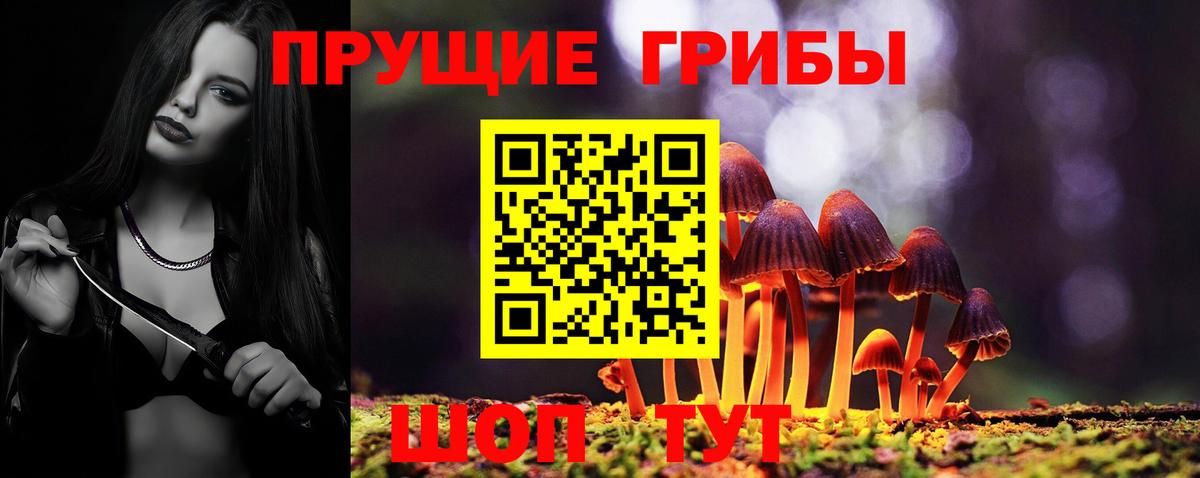 Псилоцибиновые грибы Psilocybine cubensis Строитель